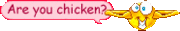 Are you Chicken?